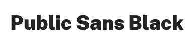 Public Sans